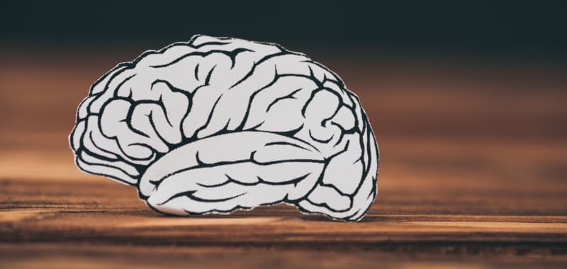 Les puzzles entraînent le cerveau