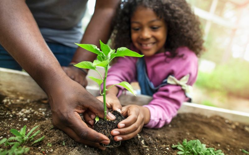 Une petite fille jardine avec son père