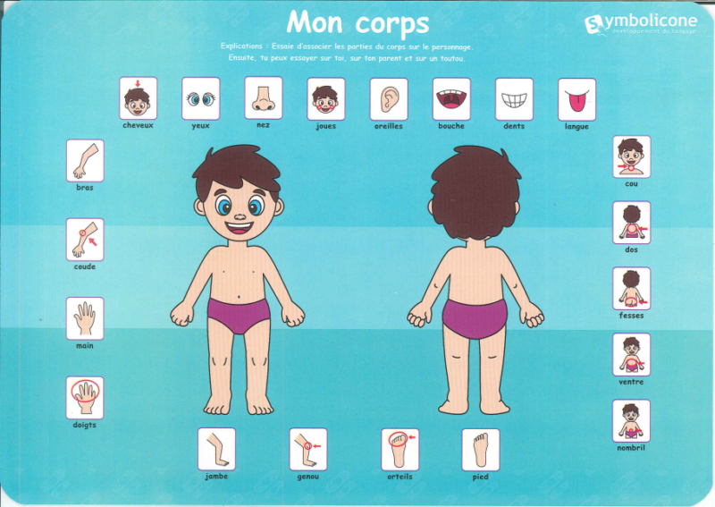 mon corps / des mots pour le dire 