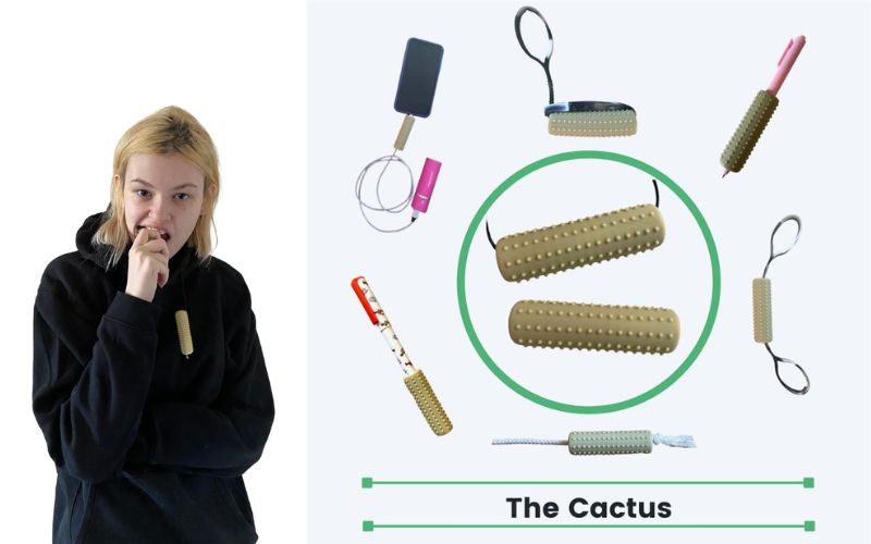 Bijou tube cactus