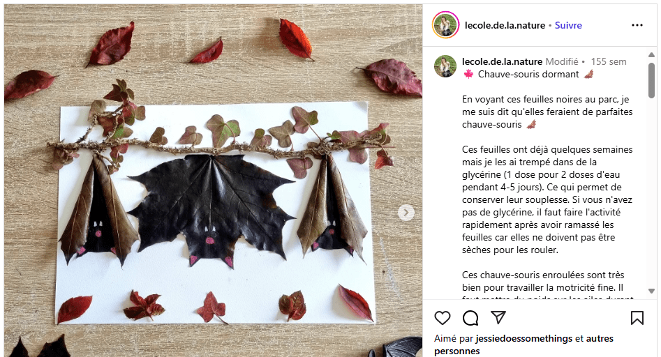 Compte Insta pour fabriquer sa chauve-souris