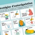 stratégies d'autorégulation
