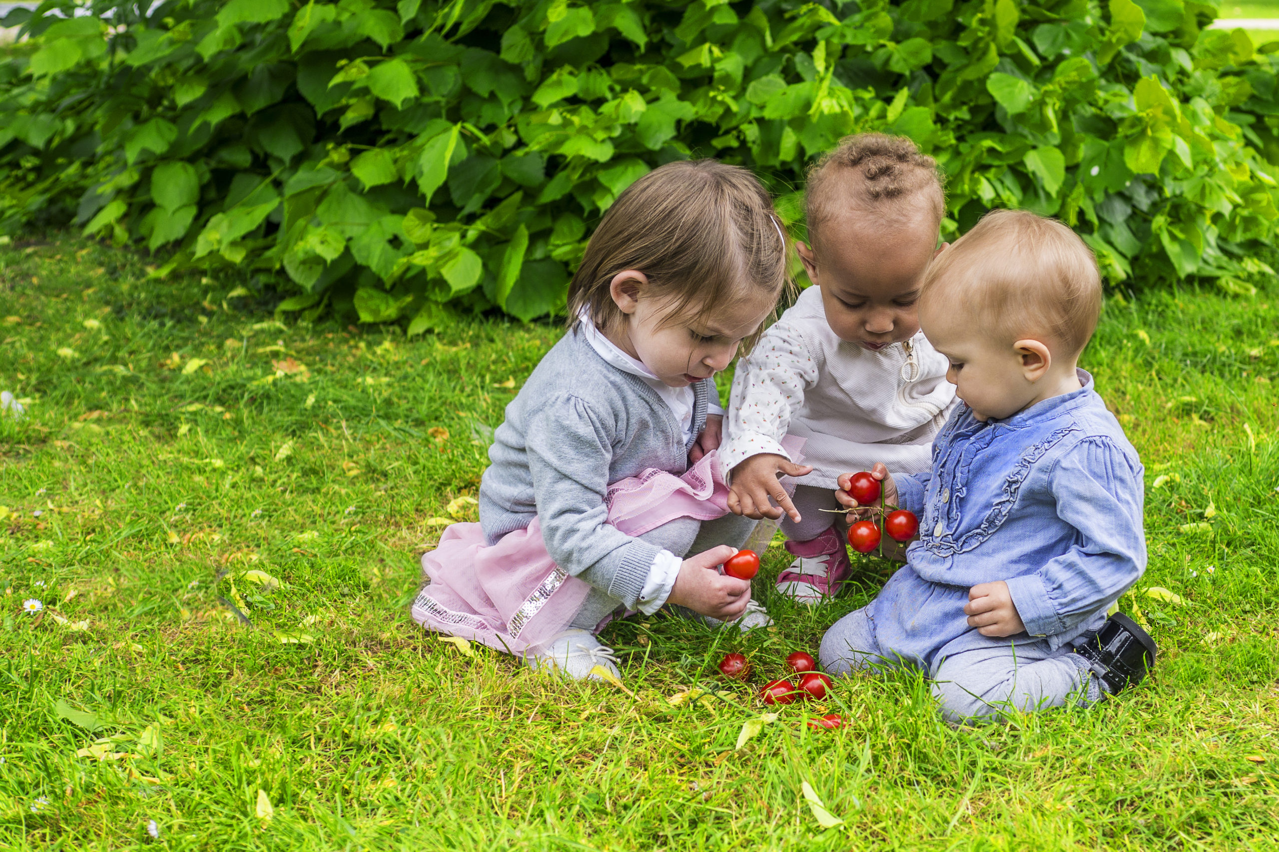 intéractions entre bébés 