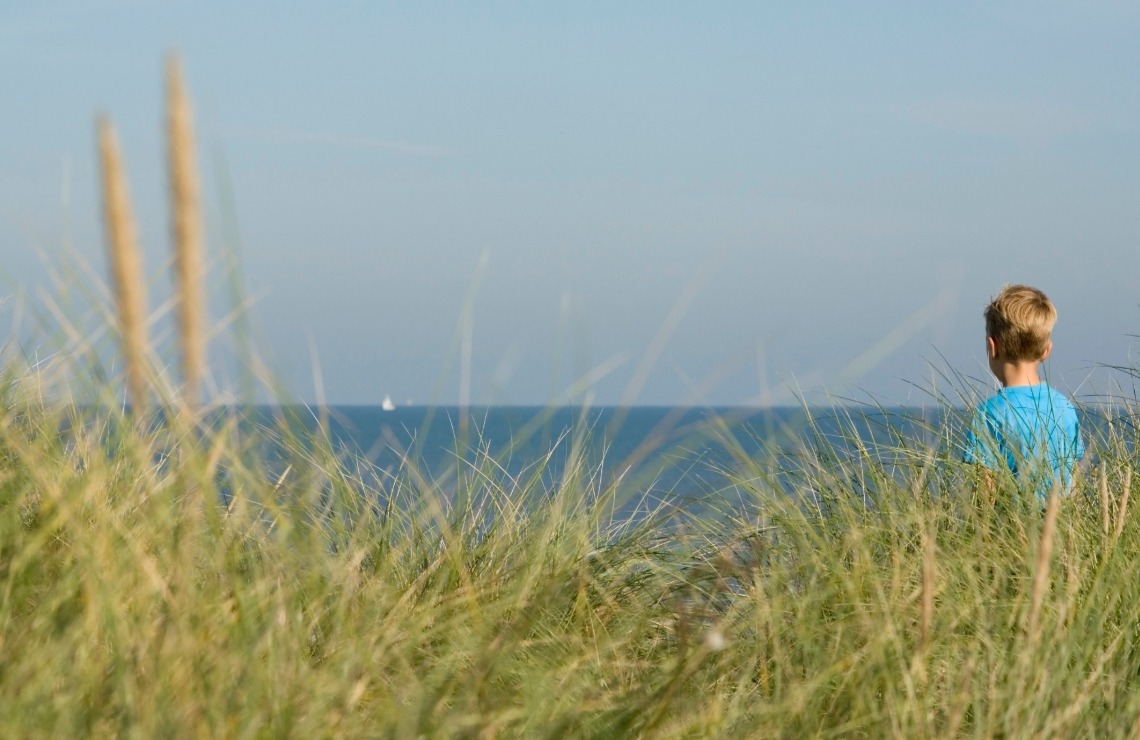 Des nouvelles de Nathan - Blog Hop'Toys