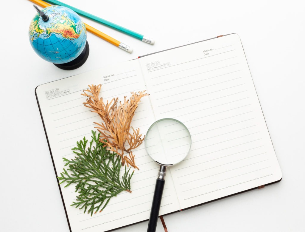 Carnet de note avec loupe, branche d'arbre et petit globe terrestre