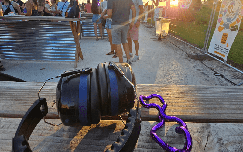 what a trip festival inclusif